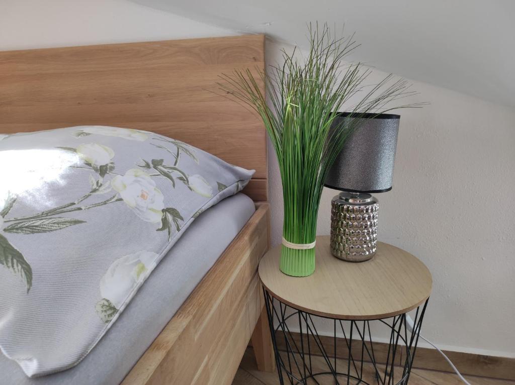 Wellness luxury apartments - 8