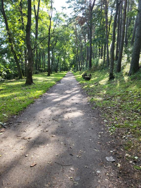 Przyroda w pobliżu tego apartamentu