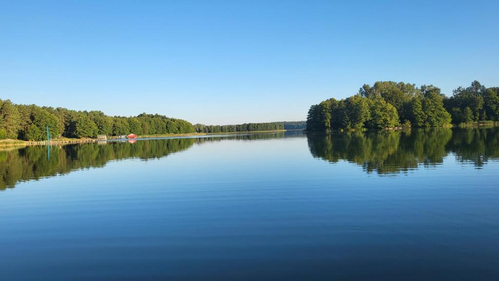 Przyroda w pobliżu tego apartamentu