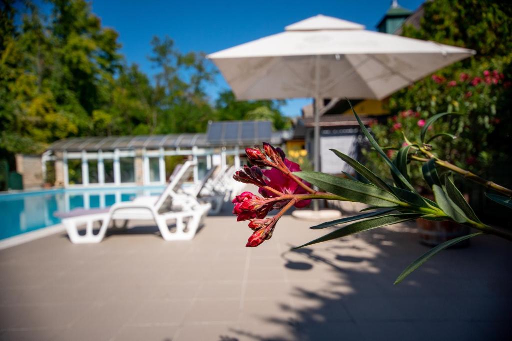 Bazén v ubytování Nyerges Hotel Termál Superior nebo v jeho okolí