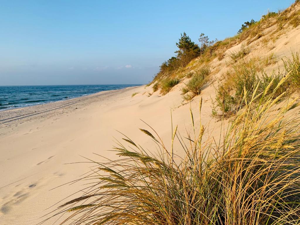 a sandy beach next to the ocean with grass at Coast House 25 -TRZĘSACZ SUNNY SIDE BALTIC in Trzęsacz