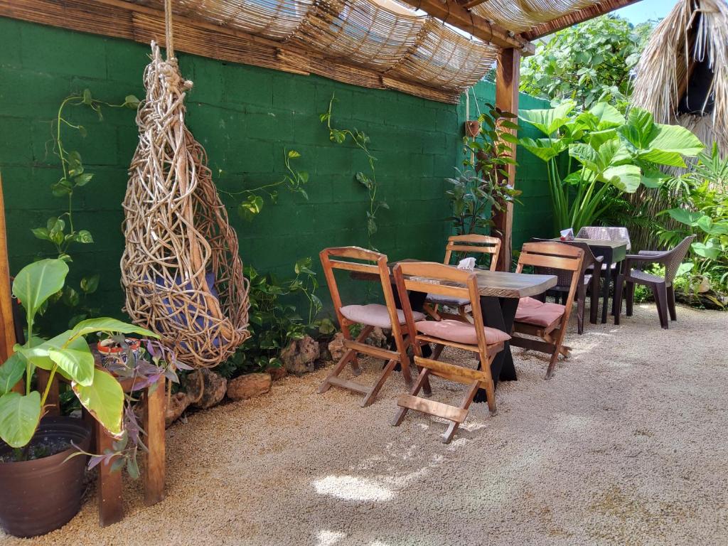 Zahrada ubytování Hakuna Matata Glamping