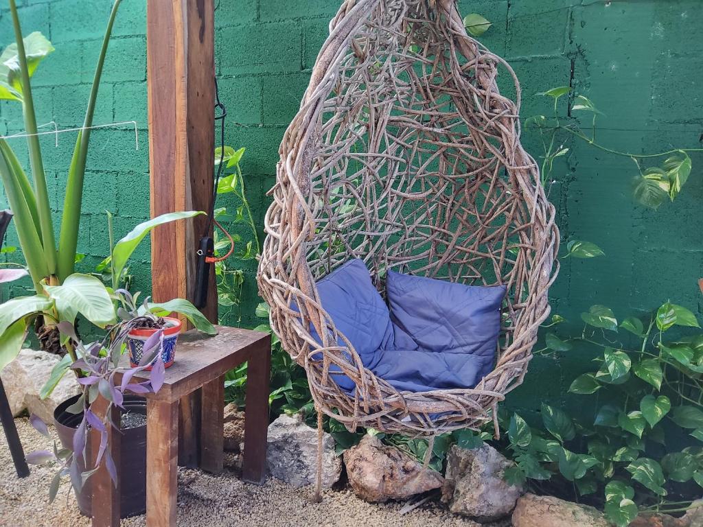 Zahrada ubytování Hakuna Matata Glamping