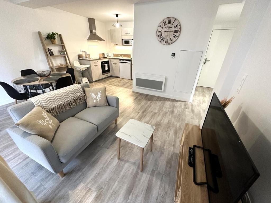 ein Wohnzimmer mit Couch und Flachbildfernseher in der Unterkunft L'appartement de l'ermitage in Dax