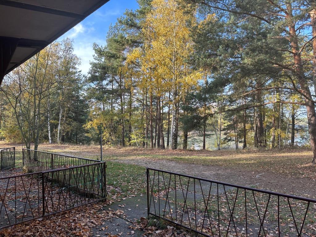 un cancello in un parco con alberi e foglie sul terreno di Feriendorf Kimbucht a Reichendorf