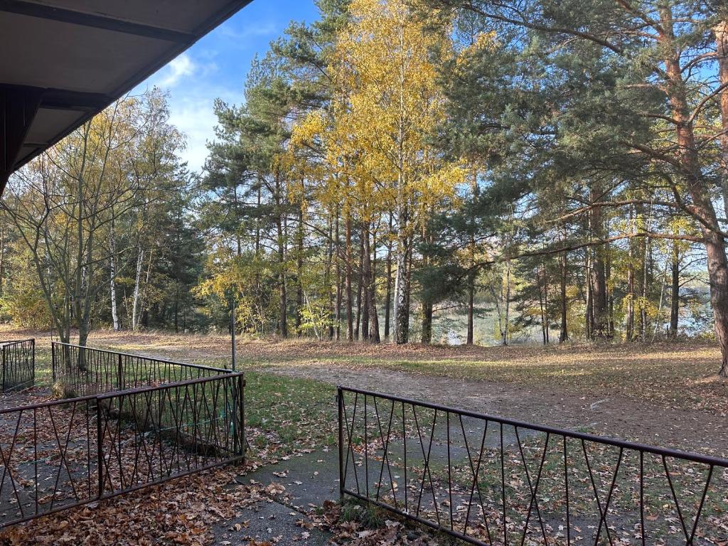 une porte dans un parc avec des arbres et des feuilles au sol dans l'établissement Feriendorf Kimbucht, à Reichendorf