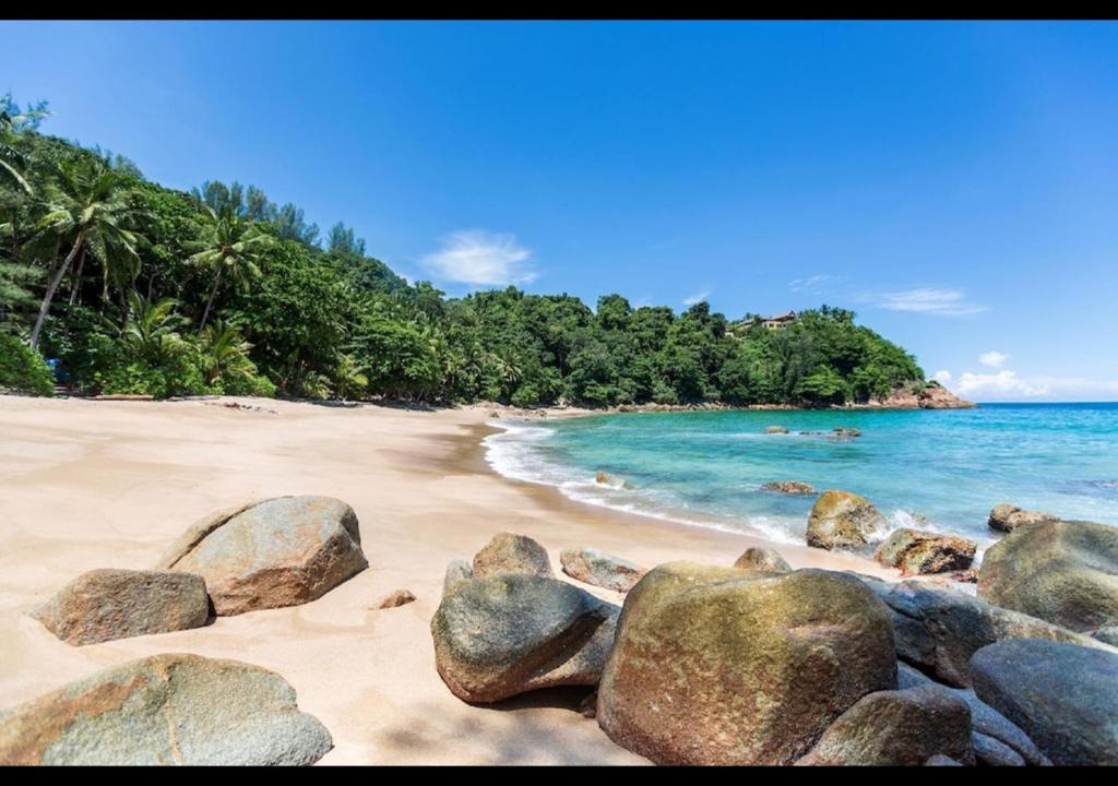 Patong Dynasty Royal Hotel - Resim 4