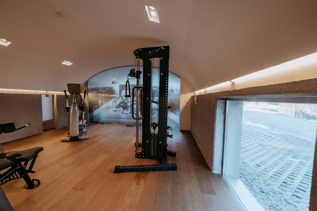 Fitness centrum a/nebo fitness zařízení v ubytování RELAX APARTMENTS An der Lage Hochgraßnitzberg