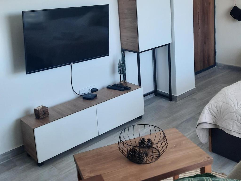 TV a/nebo společenská místnost v ubytování Sunny Woods Apartment