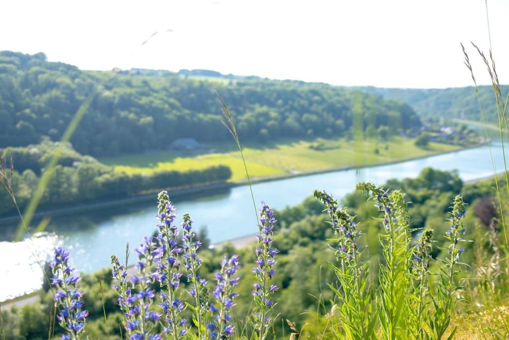 vistas al río desde una colina con flores púrpuras en Want to take it easy at the Meuse valley?, en Waulsort