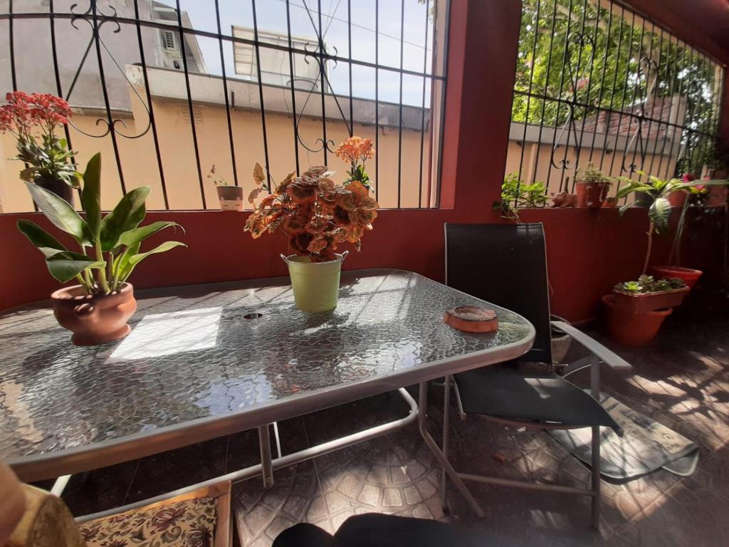 une table avec des plantes en pot dans une pièce dans l'établissement Espacio Verde, à Salta
