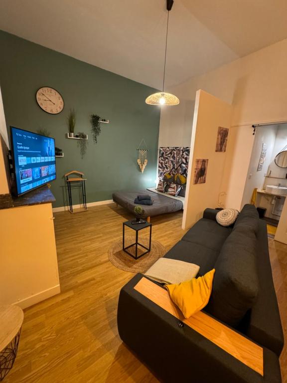 Televízia a/alebo spoločenská miestnosť v ubytovaní Charmant appartement climatisé aux pieds de la cité
