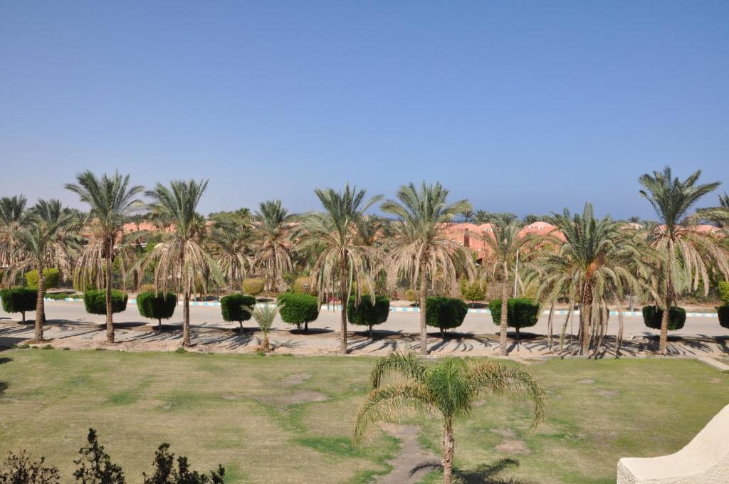 a row of palm trees in a park at Cozy apartments in Coraya Bay