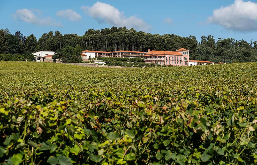 a field of crops with a building in the background at Solar de Vila Meã in Barcelos
