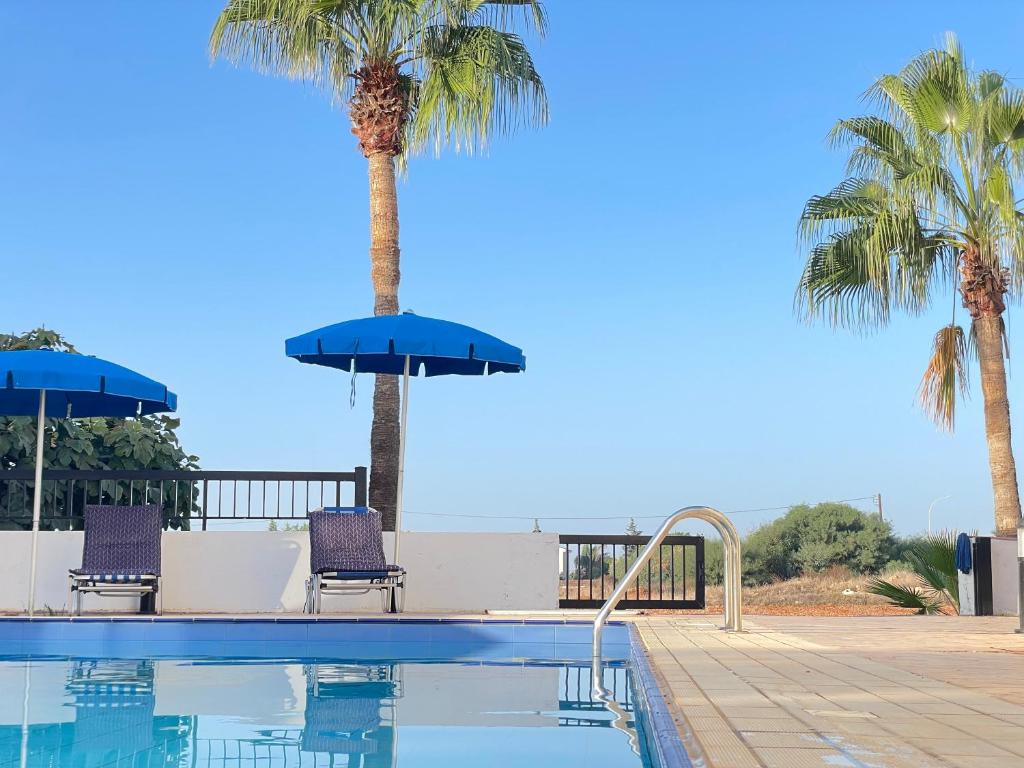 basen z dwoma palmami i dwoma niebieskimi krzesłami w obiekcie Sunset Pearl Holiday Villa w Ajia Napa