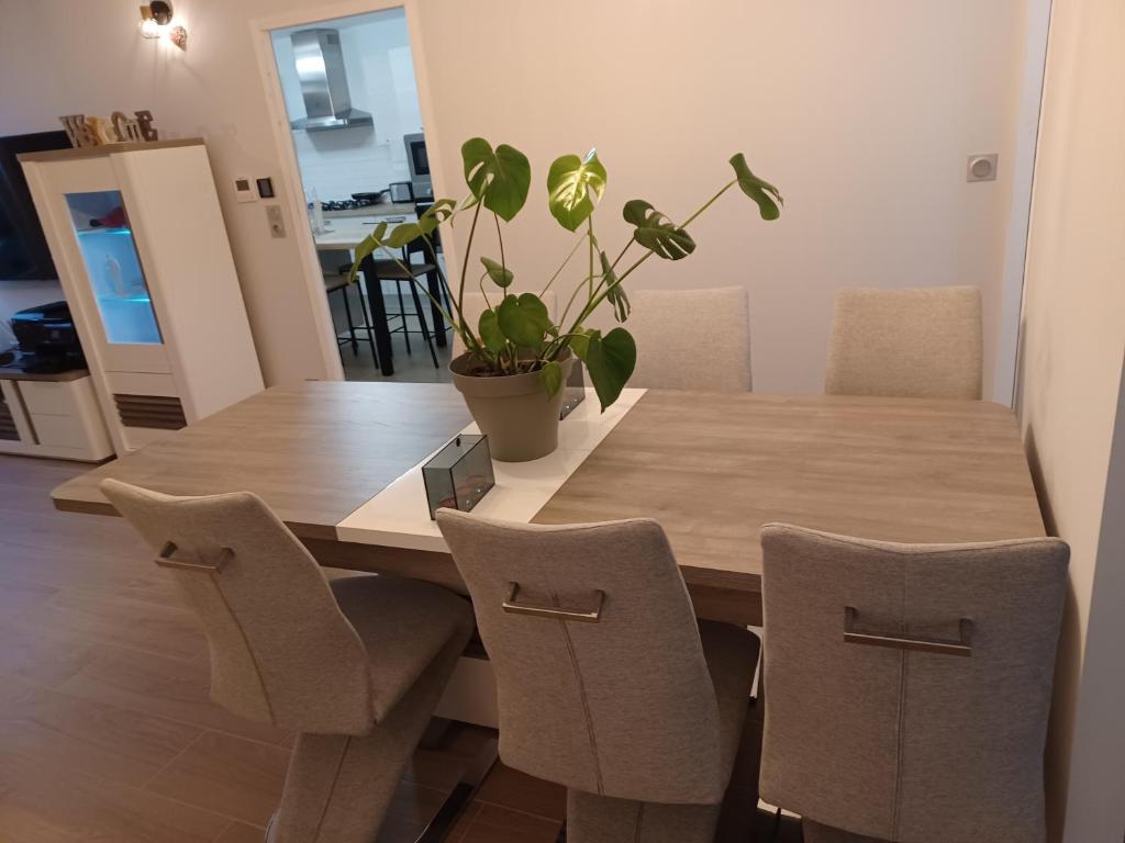 a dining room table with chairs and a potted plant at Maison calme&#47;Chambre privée&#47;Clim+TV&#47;Pétit dejeuner inclu&#47;tout confort in Nevers
