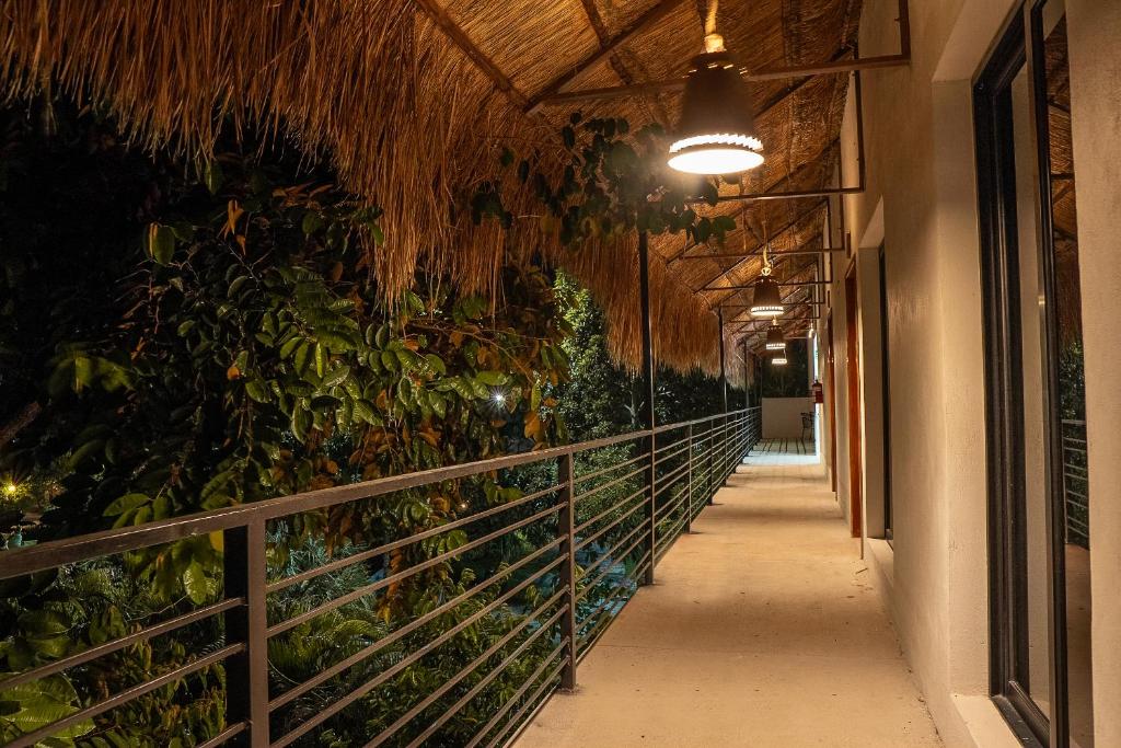 Fotografie z fotogalerie ubytování Hotel Makech v destinaci Bacalar
