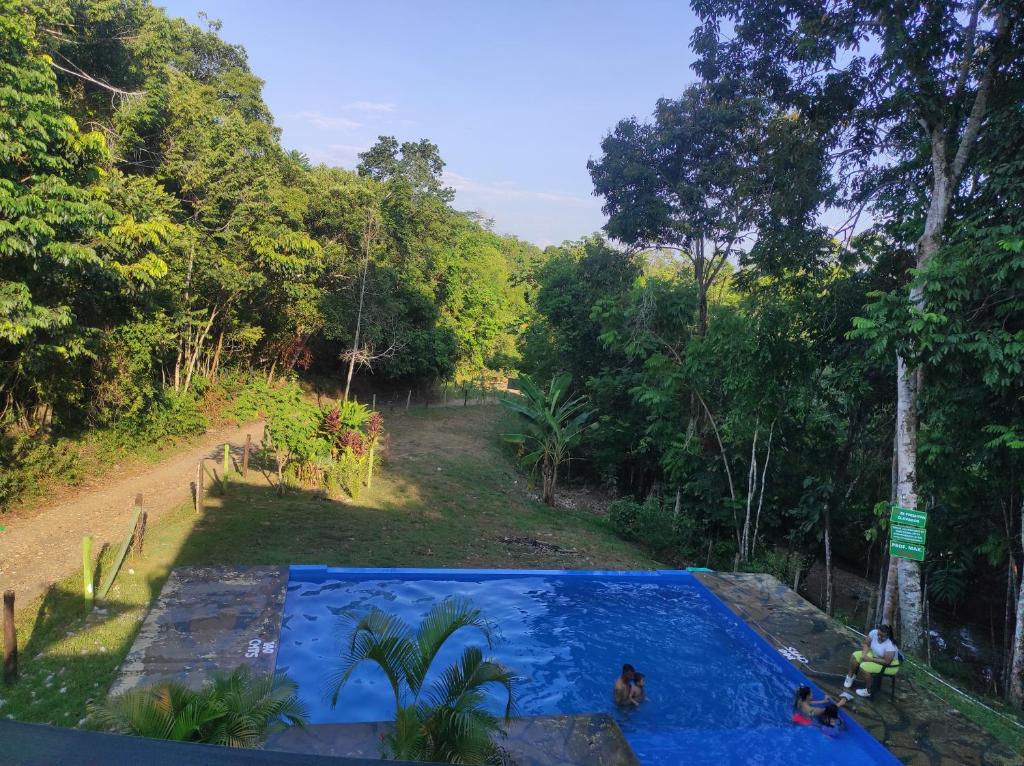 a swimming pool in the middle of a forest at Balneario el paraíso in Puerto Triunfo