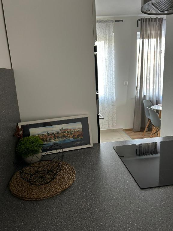 Fotografie z fotogalerie ubytování Apartmán "DUNAJ" private parking - klimatizácia v destinaci Šamorín