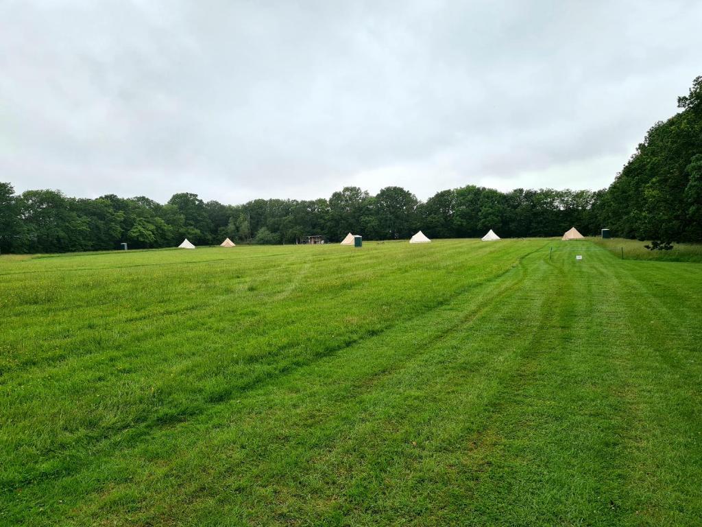 a large green field with tents in the background at Glamping in the Kent weald nr Tenterden Spacious quite site up to 6 equipped tents, each group has their own facilities Tranquil and beautiful rural location yet just an hour to London in Tenterden