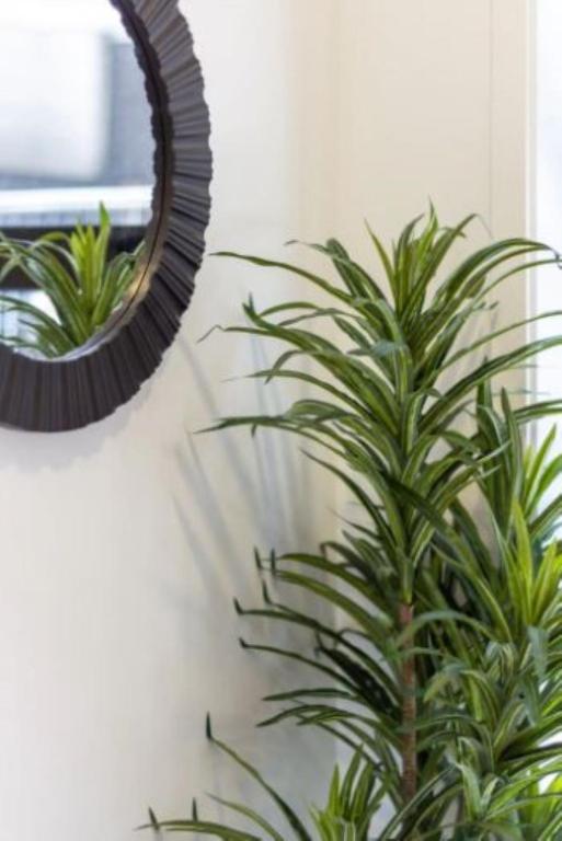 Serenity in the Centre: 2 bed 2 bath - Resim 34