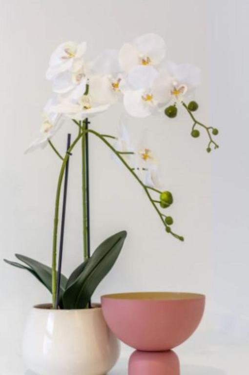 Serenity in the Centre: 2 bed 2 bath - Resim 38