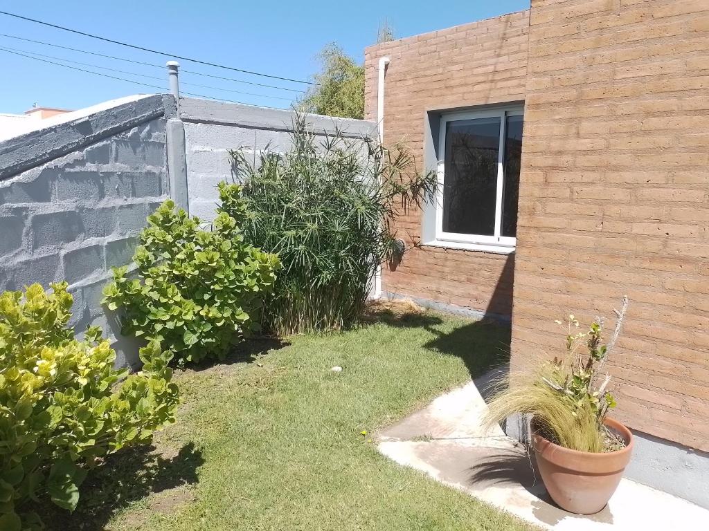 Zahrada ubytování Las Lavandas ´´Casa de Playa´´