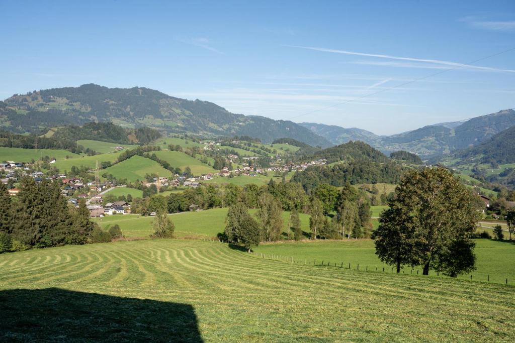 Příroda nedaleko apartmánu