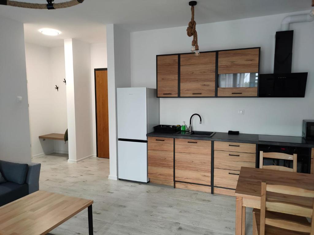 Kuchyňa alebo kuchynka v ubytovaní Mazurski Apartament 2