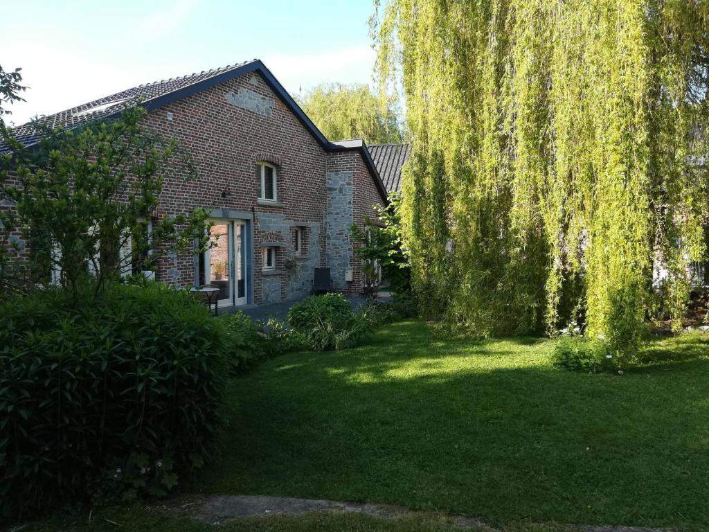 Gîte La Columbia Lens en Hainaut في Cambron-Saint-Vincent: منزل فيه شجرة صفصاف الباكية