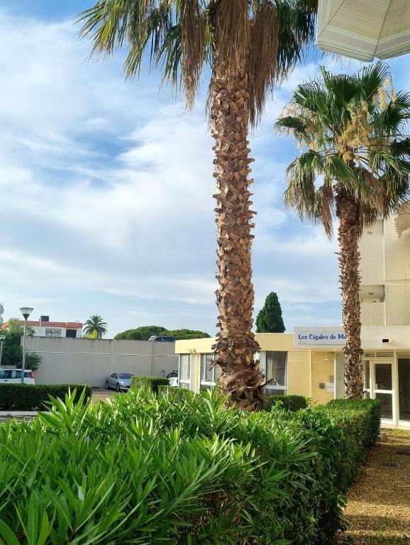 two palm trees in front of a building at 100 m de la plage - Les Cigales de Mer - Studio Cabine - Parking in Le Grau-du-Roi