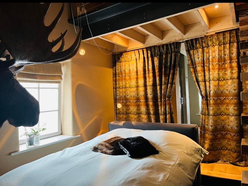 eine Katze, die in einem Schlafzimmer auf einem Bett liegt in der Unterkunft Maison Galerie Art n Pepper in Solwaster