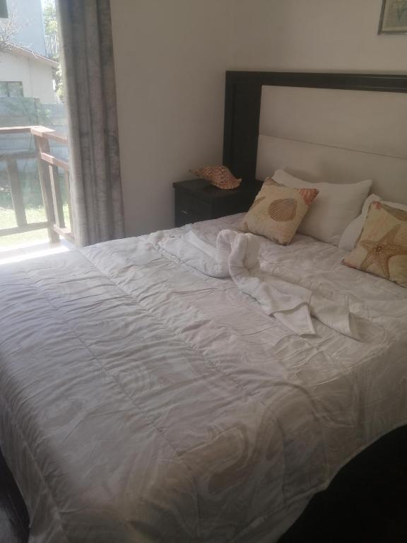 Paradise By The Ocean, Durban (updated prices 2024)