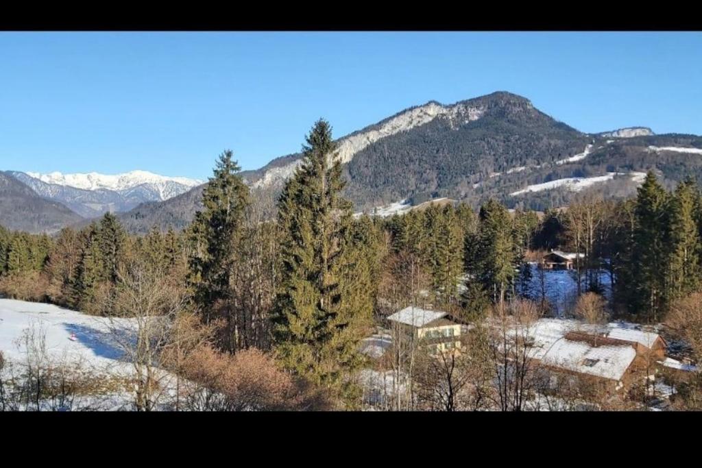Příroda nedaleko apartmánu