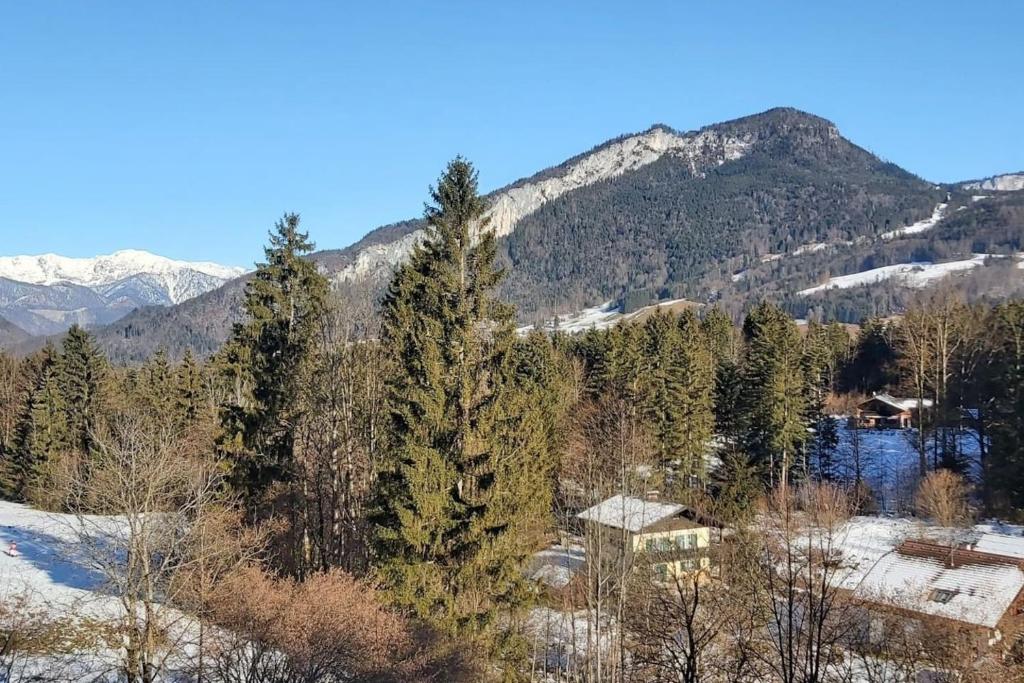 Příroda nedaleko apartmánu