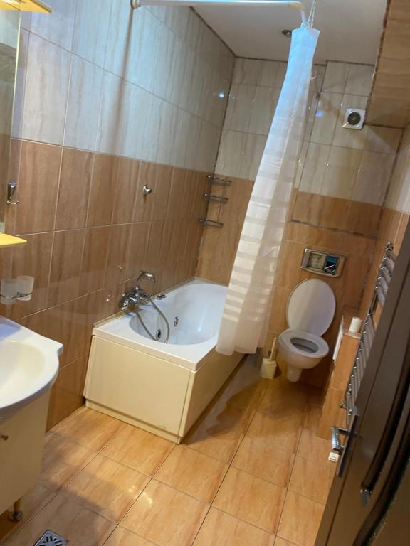 a bathroom with a bath tub and a toilet at WRW Center in Bistriţa