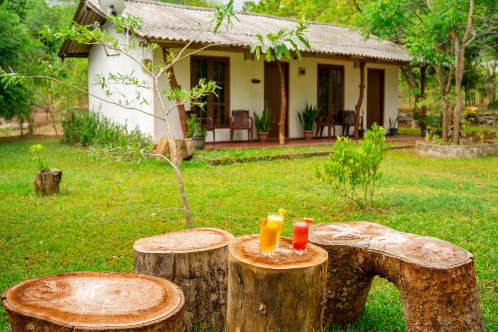 Zahrada ubytování Wild Hut Habarana