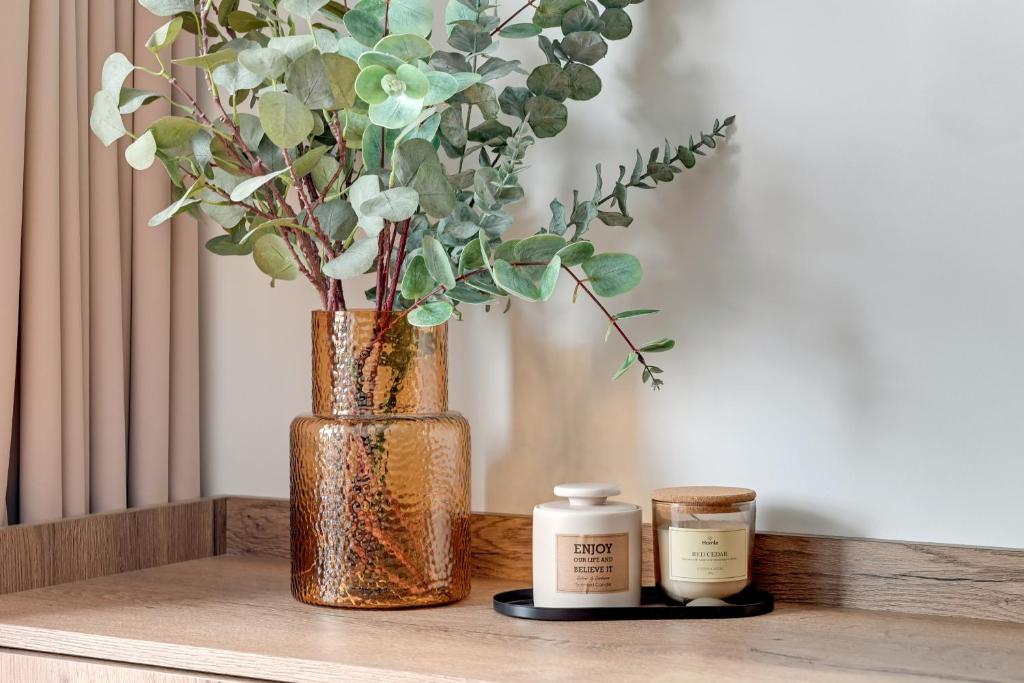 Brabank Riverside Premium Suites & Free Parking by Downtown Apartments - 7