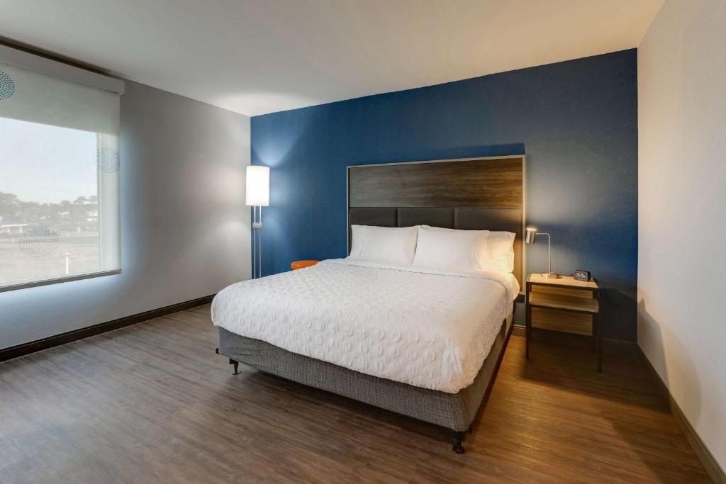 Tru By Hilton Leland Wilmington - King Room With Roll-In Shower - Mobility Access