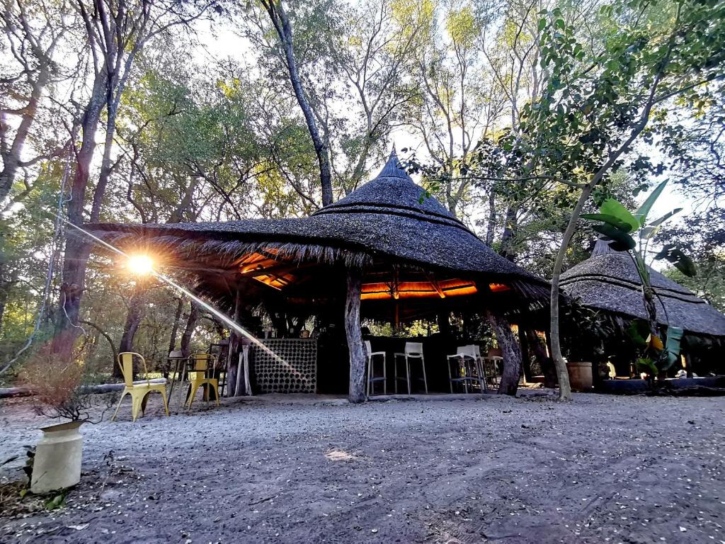 a pavilion with tables and chairs in a forest at The Tshilli Farm & Lodge in Maun