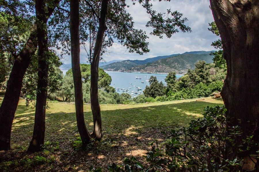 a view of a lake through a group of trees at Grand Hotel Dei Castelli in Sestri Levante