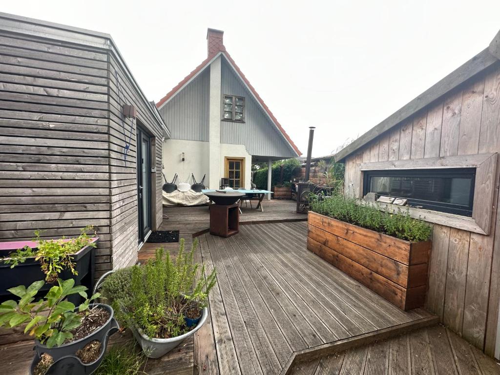 a wooden deck with potted plants and a house at Lütthus Matthis in Zingst