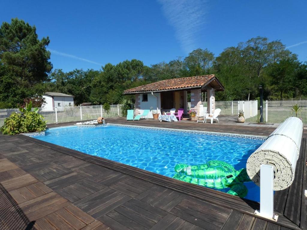 - une piscine avec une tortue dans l'eau dans l'établissement Les lavandes, à Mézos