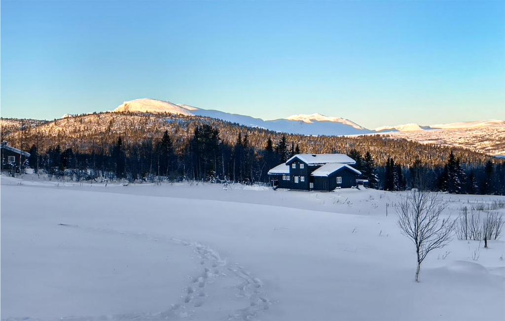 a house in the middle of a snow covered field at 5 Bedroom Beautiful Home In Gol in Golsfjellet