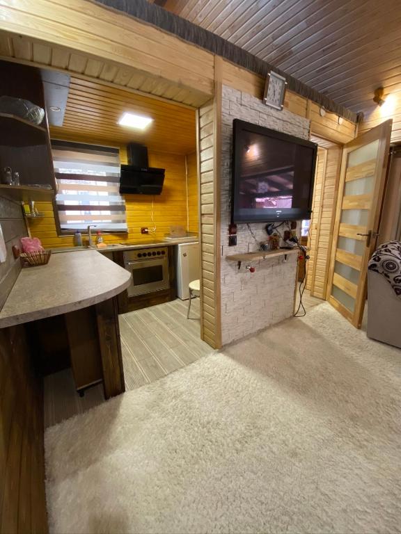 Kuchyň nebo kuchyňský kout v ubytování Guest house Shulc