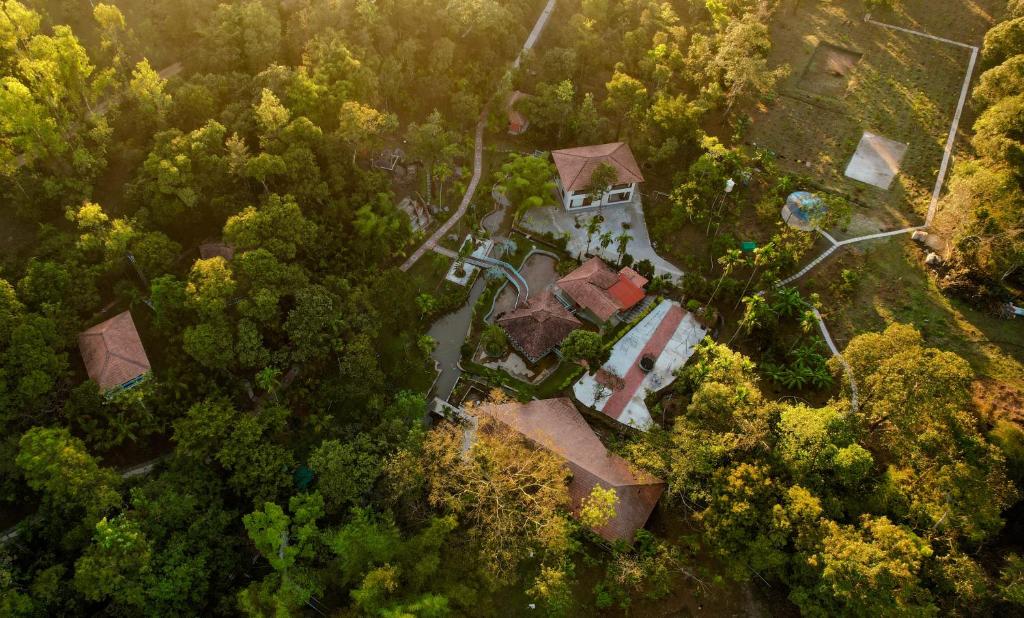 Letecký snímek ubytování Green Tree Resort