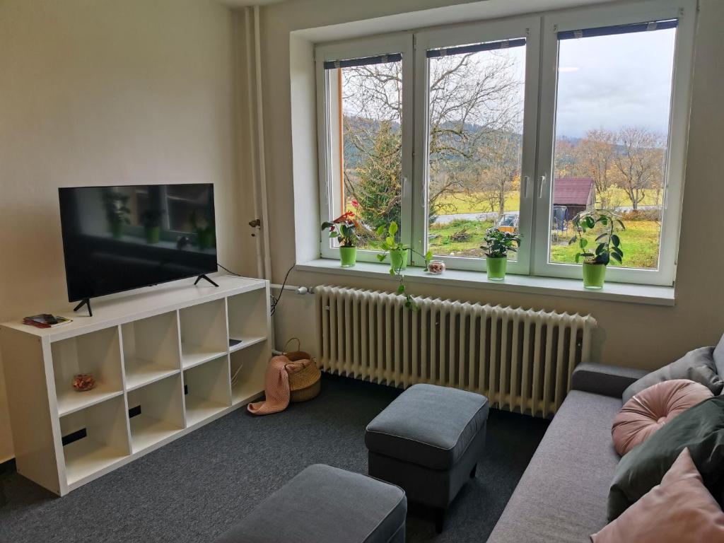 TV a/nebo společenská místnost v ubytování Apartmány Pěkná 10