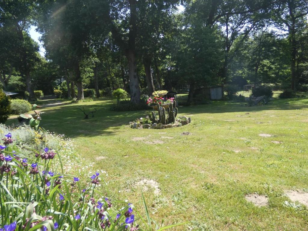 un campo de hierba con flores en un parque en Bassibe en Lacquy