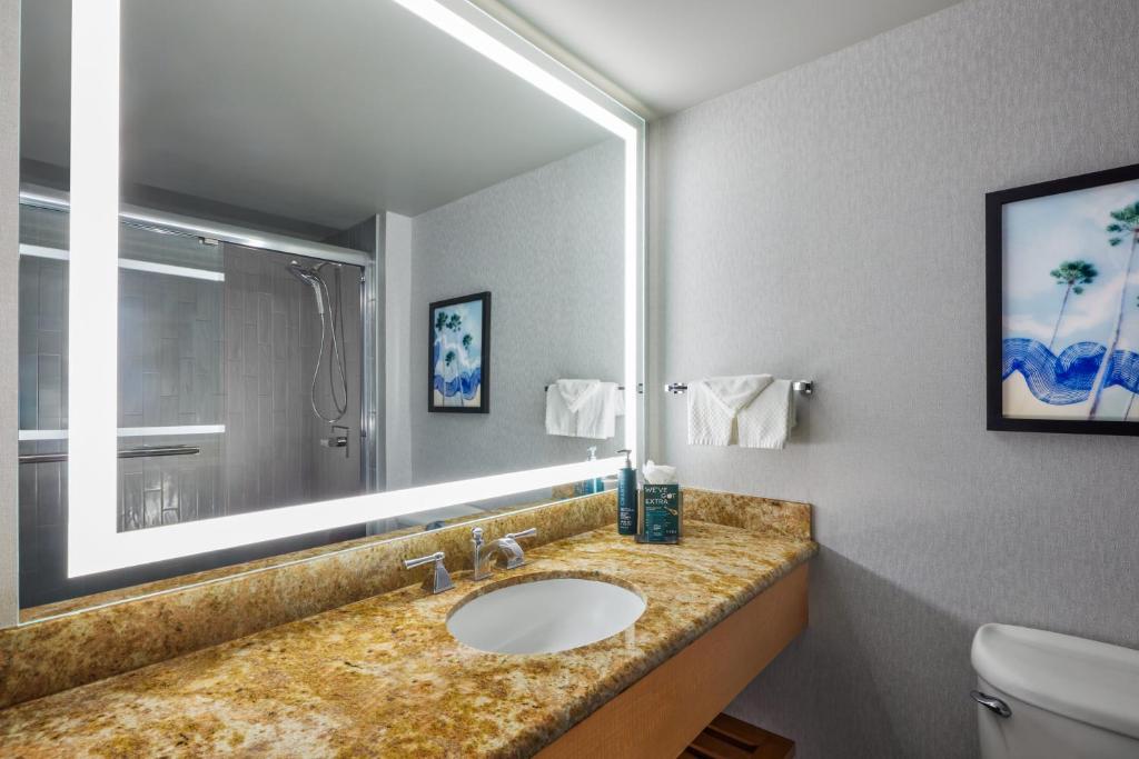 Hotel Fera Anaheim, a DoubleTree by Hilton Hotel - King Studio Suite With Sofa Bed