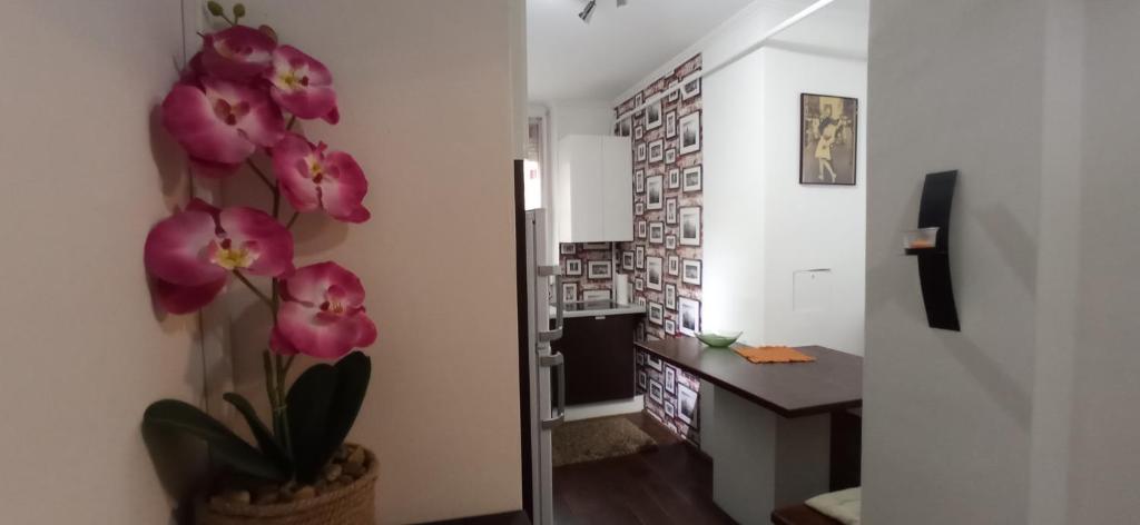 um quarto com uma planta num vaso ao lado de um corredor em Cirilla Home em Szombathely